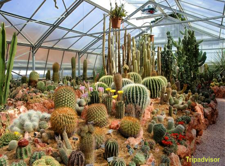 Jardins botaniques: 6 oasis en Romandie