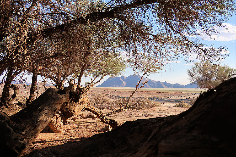 Afrique: Namibie