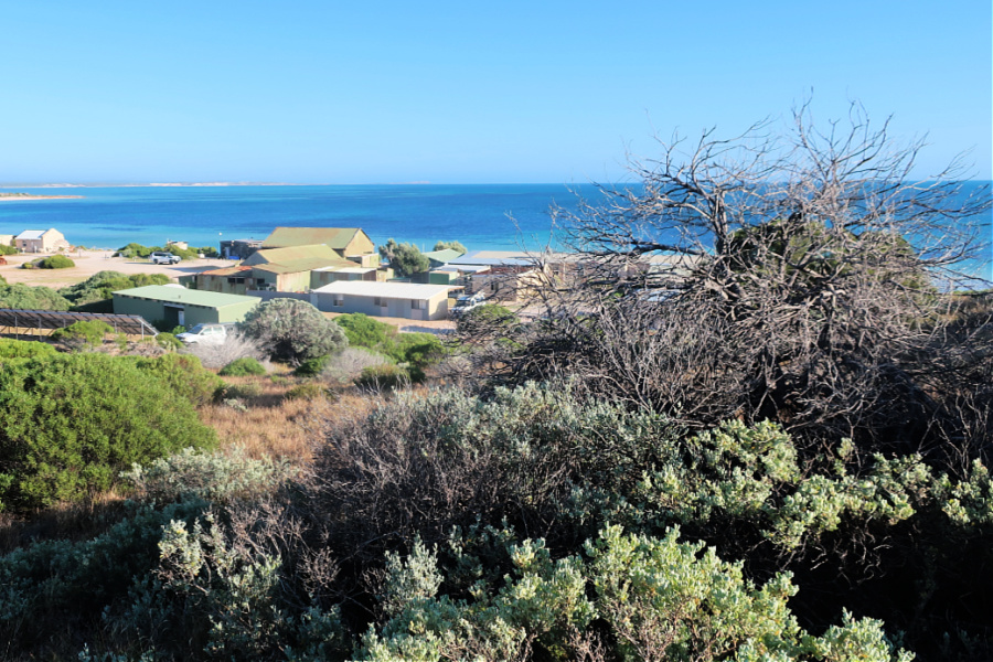 Australie: VIDEO Australie-Occidentale