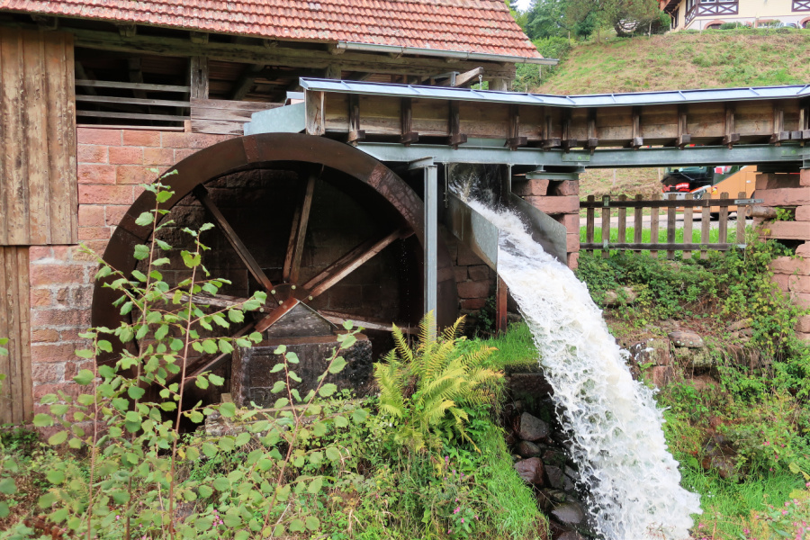 Allemagne: VIDEO Bade-Wurtemberg