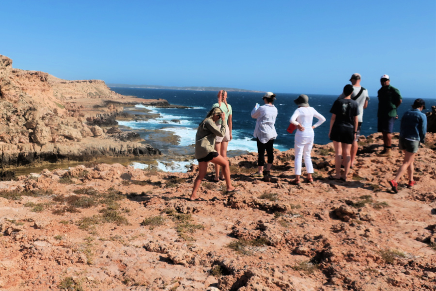 Australie-Occidentale : VIDEO île Hartog