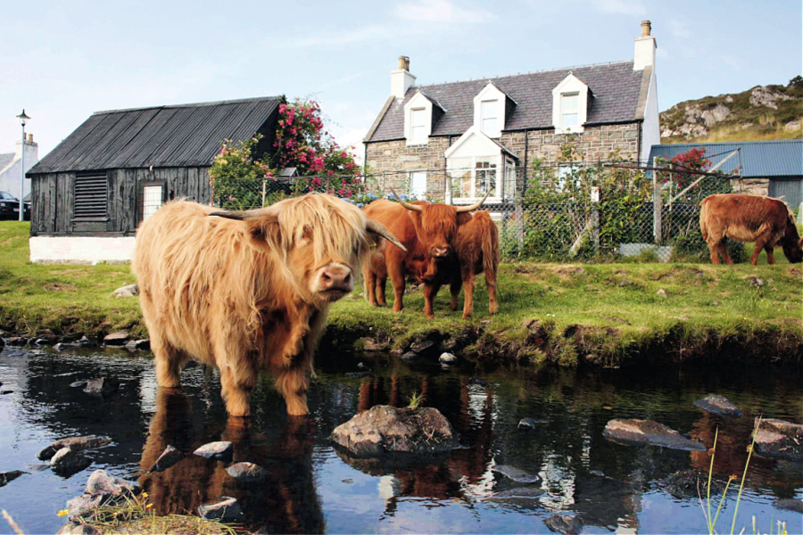Royaume-Uni : Ecosse