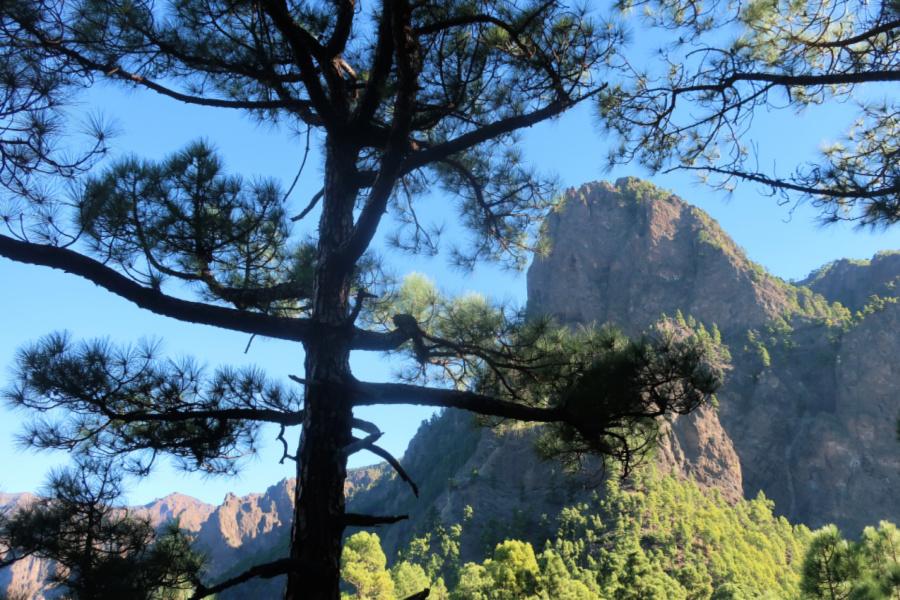 Espagne : VIDEO La Palma (Canaries)