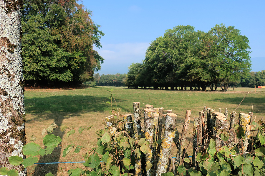Suisse : l’Arboretum (Aubonne)