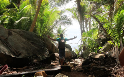 Aux Seychelles, l’île de Silhouette