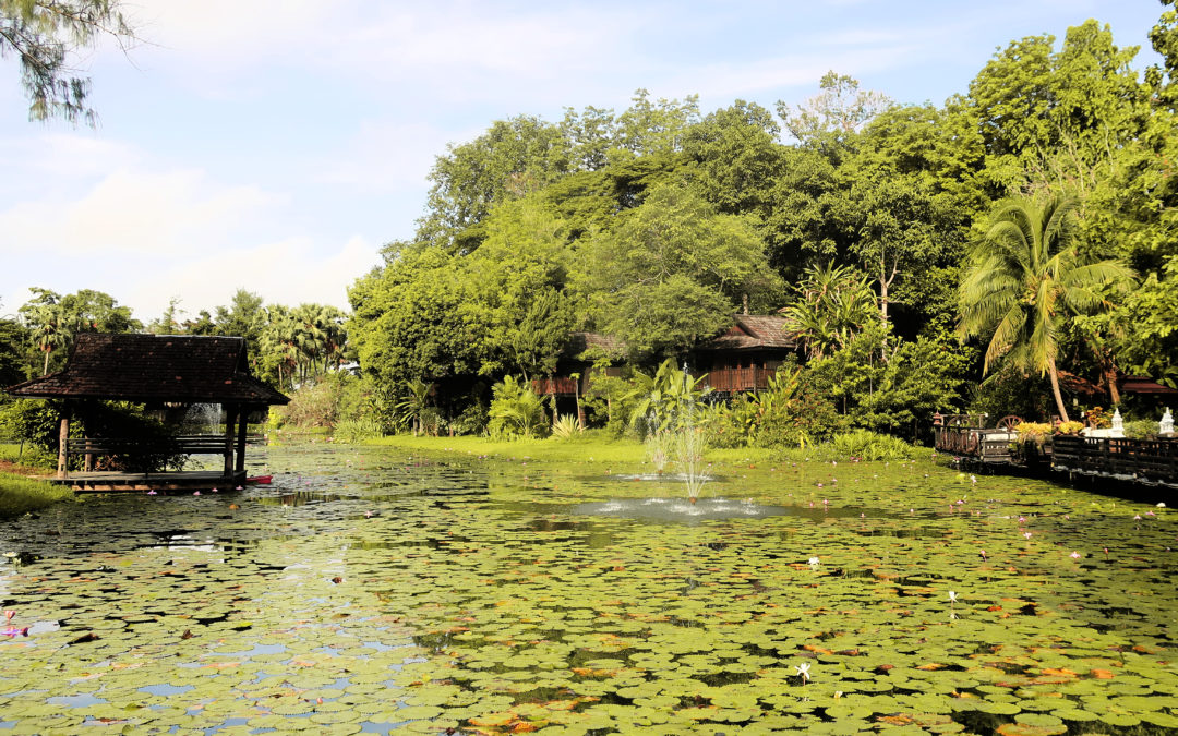 Asie : la Thaïlande verte
