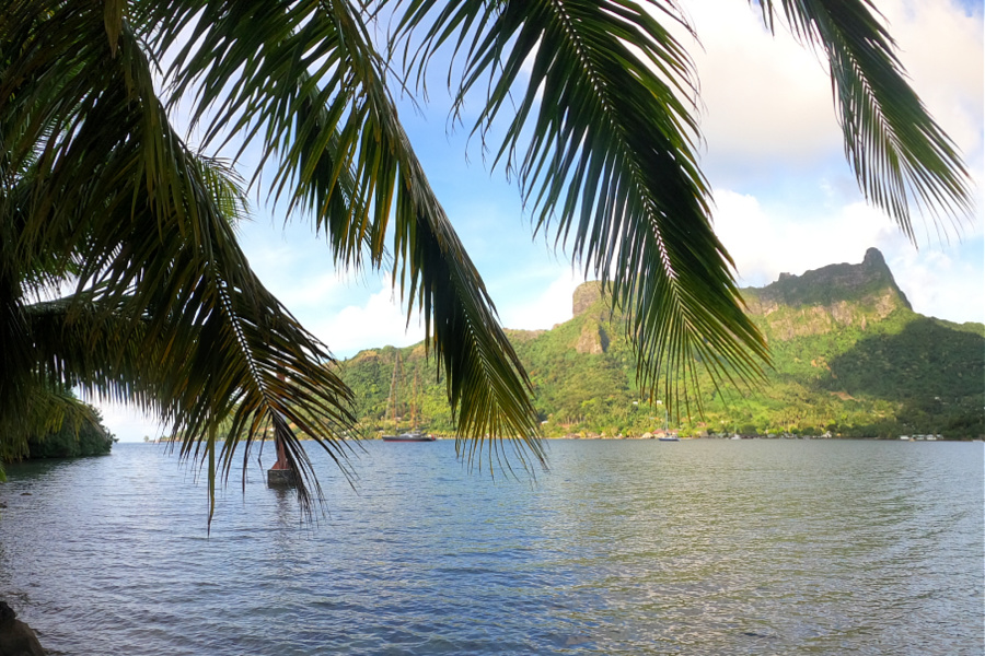 Polynésie française : se marier à Tahiti