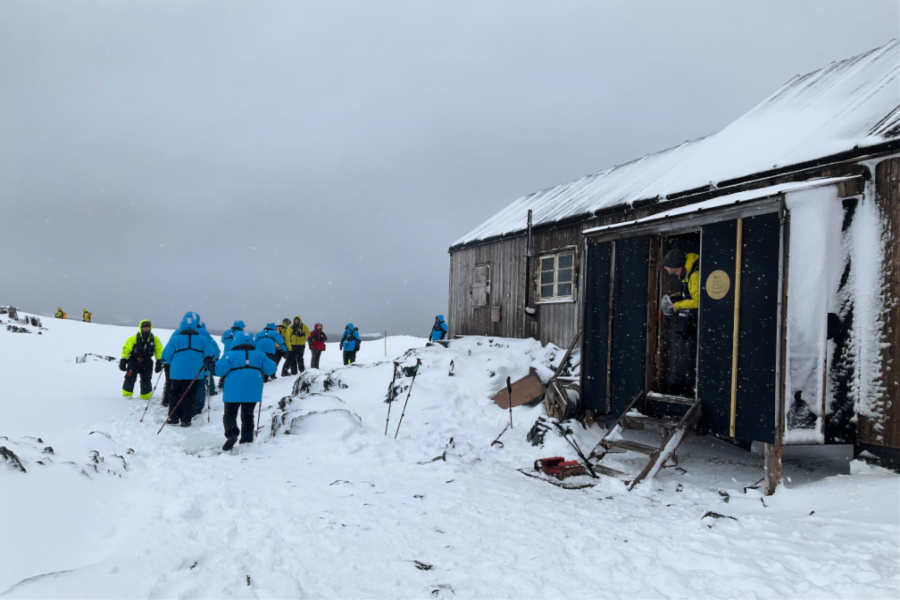 Antarctique : VIDEO Detaille Island