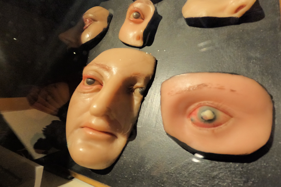 Italie : VIDEO Bologne (Musée Poggi)