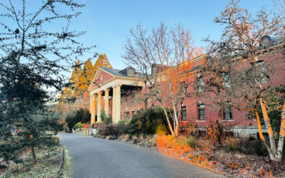 USA : des hôtels dingues à Portland (Oregon)