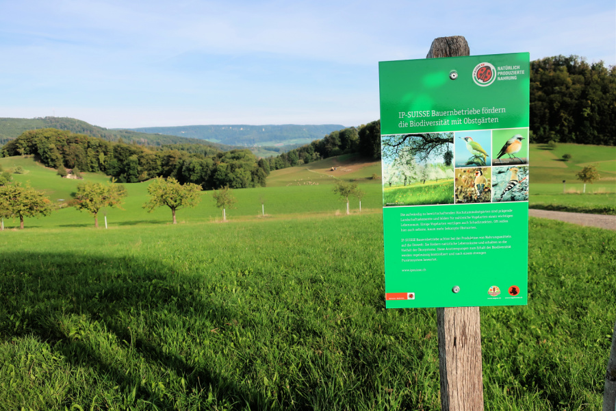 Suisse : des buts de randonnées