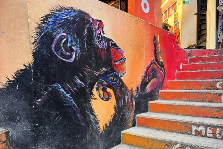 Colombie : VIDEO Medellin