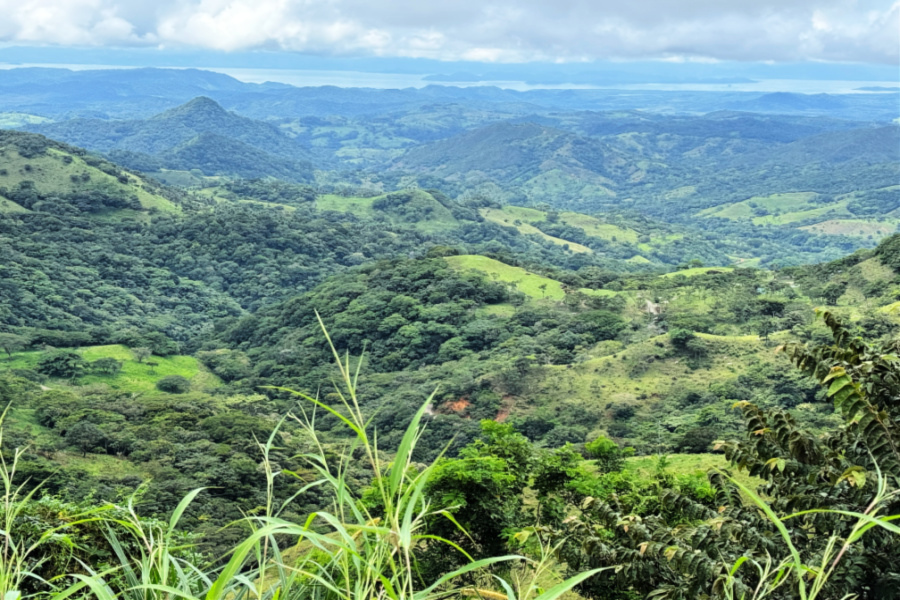 Costa Rica : VIDEO (la jungle)