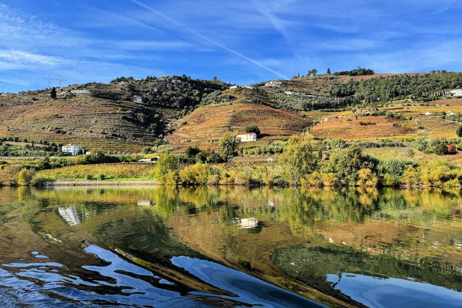 Portugal : VIDEO Douro (croisière fluviale)