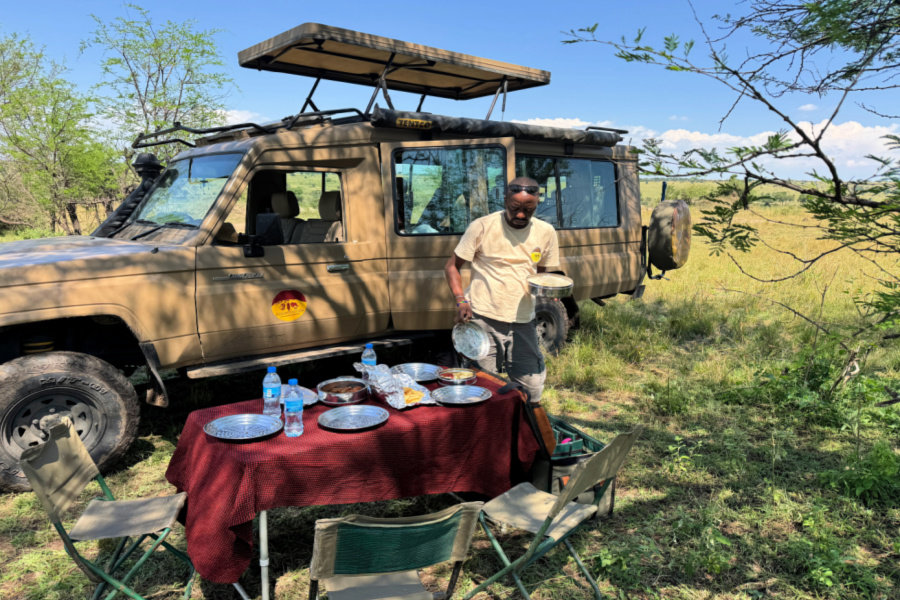 Afrique : VIDEO Tanzanie (pistes et campements)