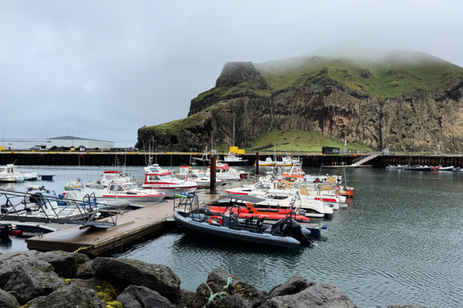 Islande : VIDEO îles Westmann