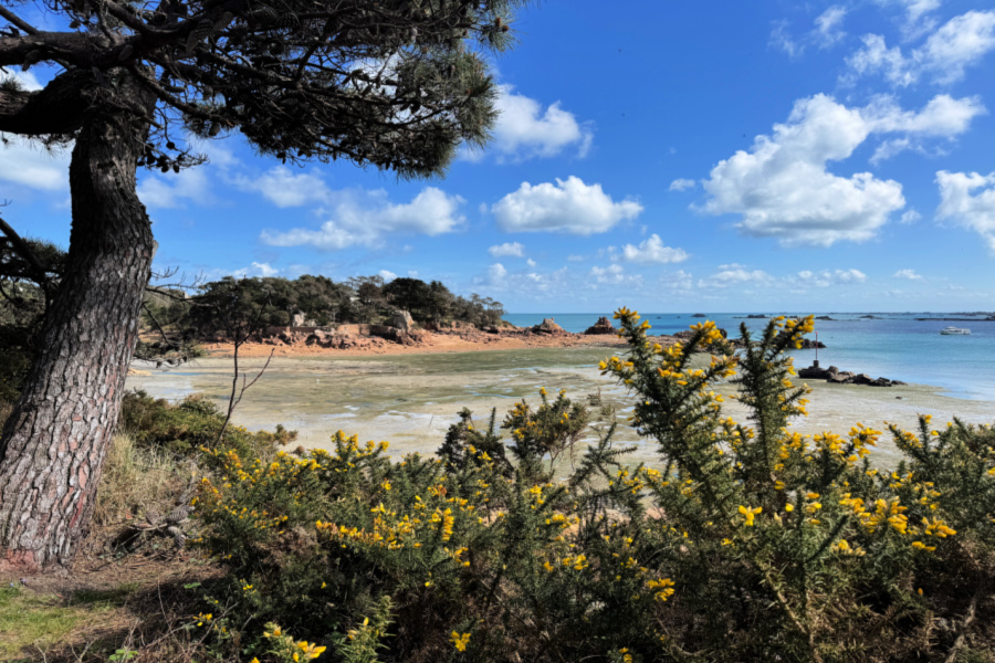 France : VIDEO île de Bréhat
