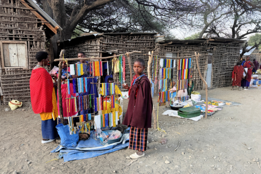 Afrique : VIDEO Tanzanie (Marché Maasai)